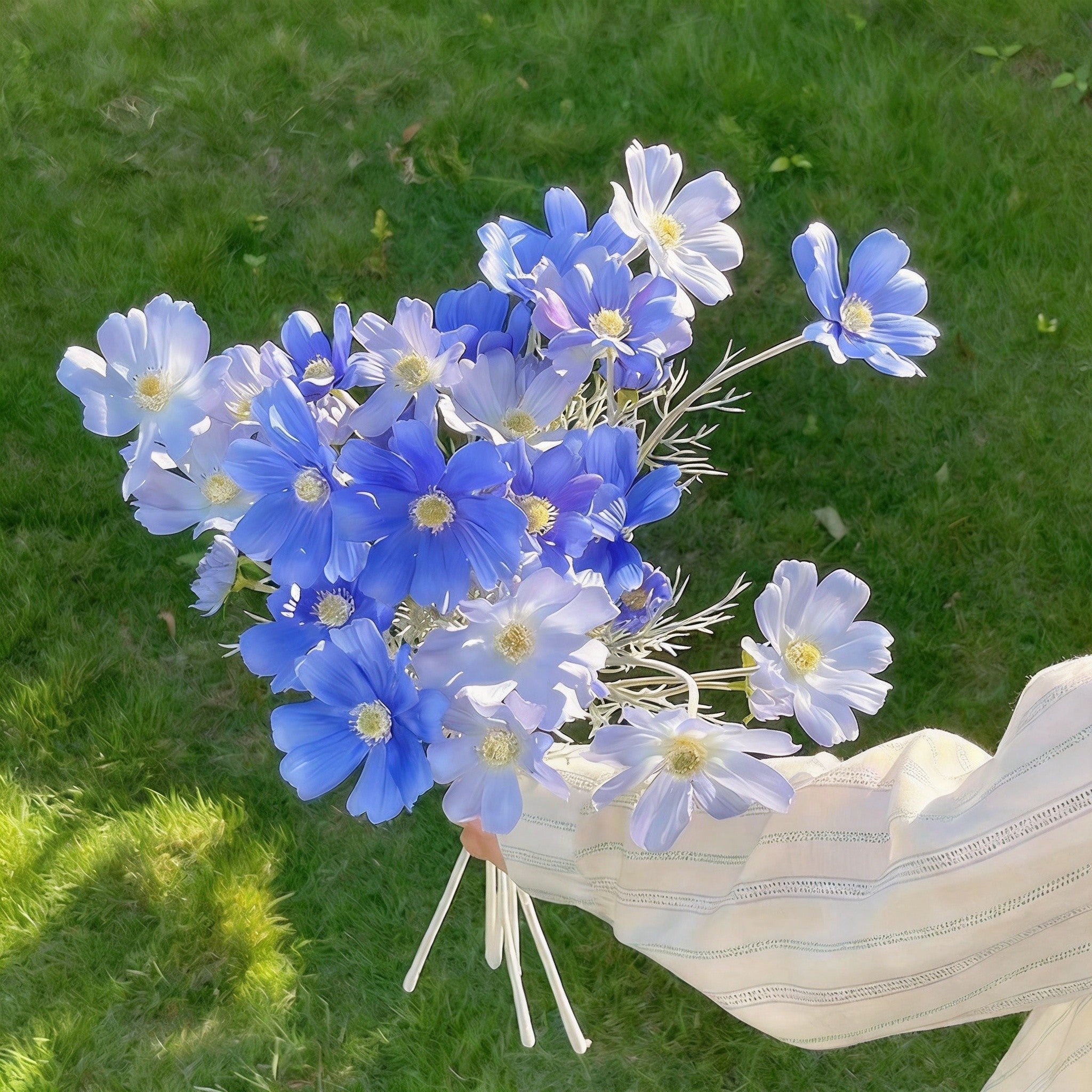 蓝色永生花