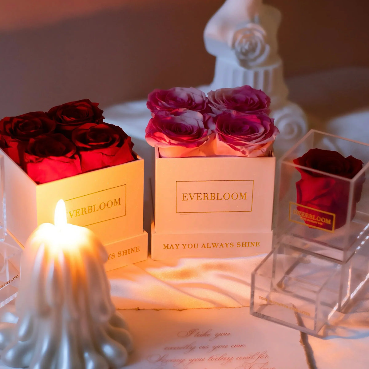 4 Blooms Box