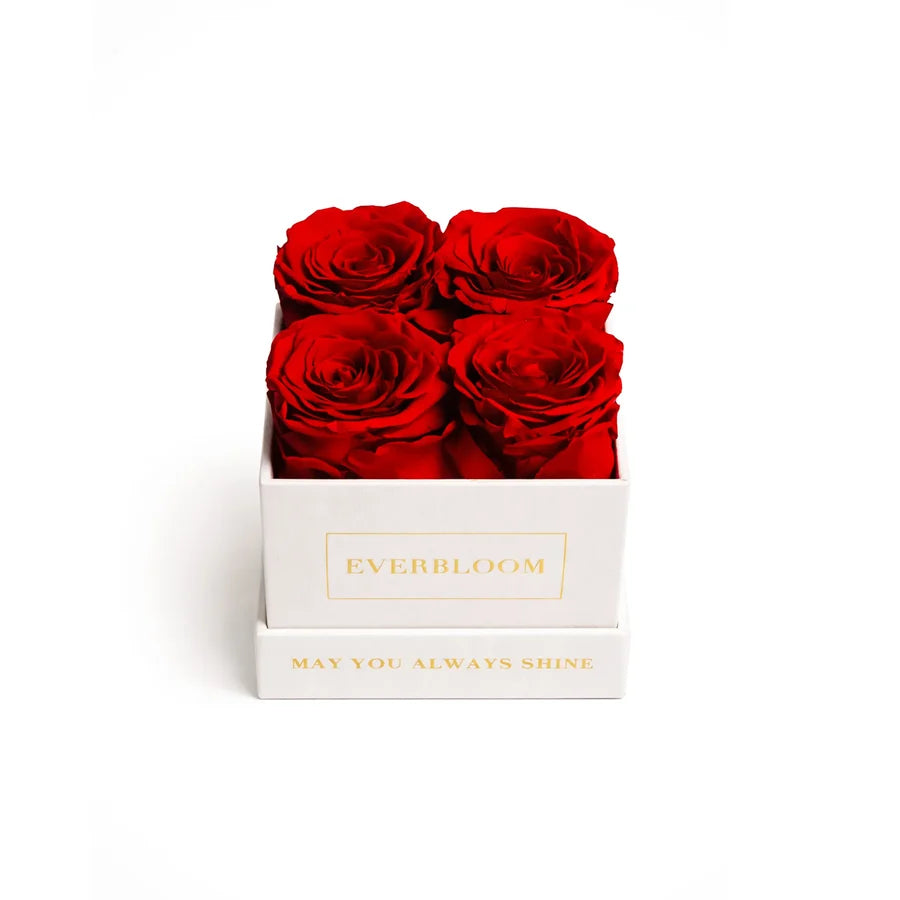 4 Blooms Box
