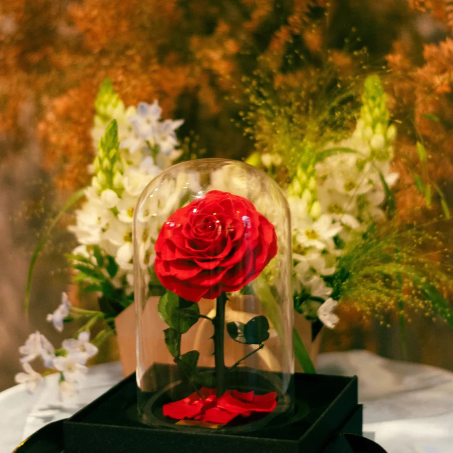 The Little Everlasting Rose