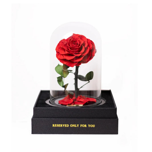 The Little Everlasting Rose