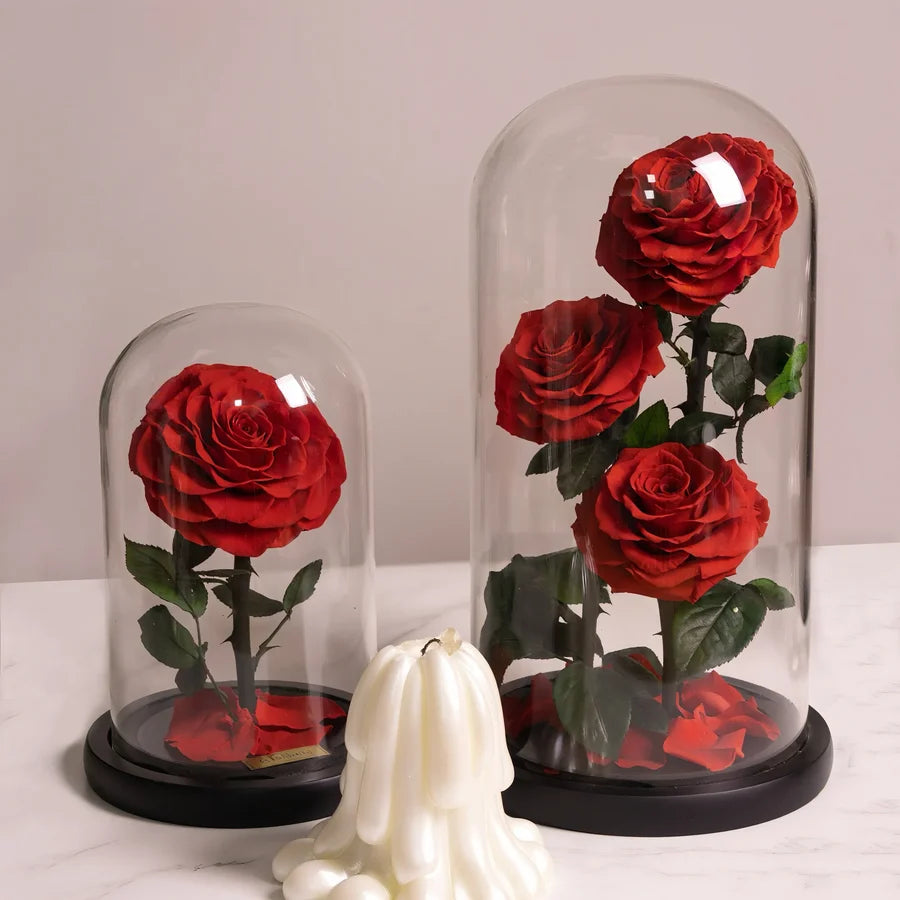 The Little Everlasting Rose