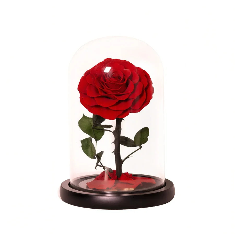 The Little Everlasting Rose